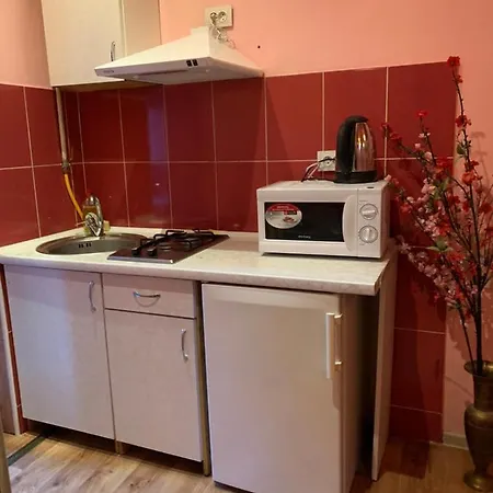 33/kotliarska Moisha House Appartement